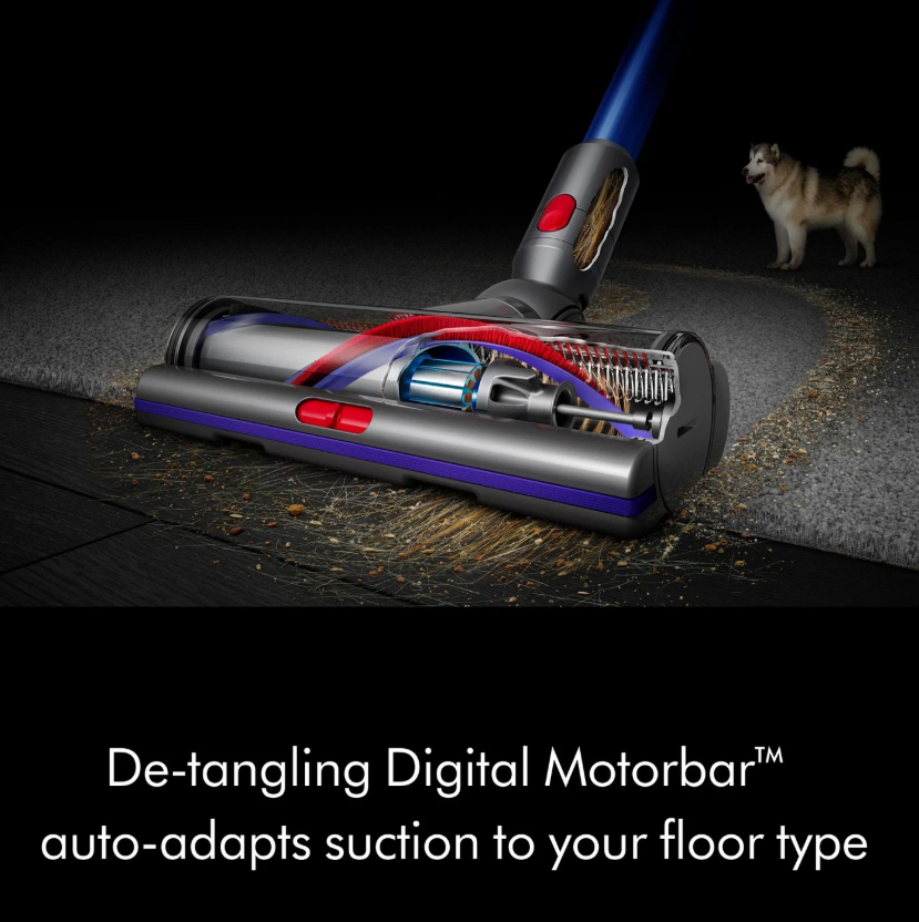 Dyson V11 Torque Drive+ | Iron/Blue | Certified Refurbished