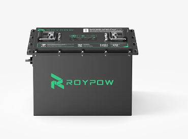 RoyPow Golf Cart Battery 36v 100ah S38105 Lithium Battery