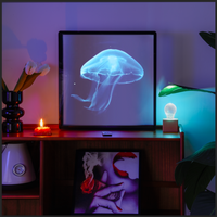 3D Hologram LED Fan With Frame