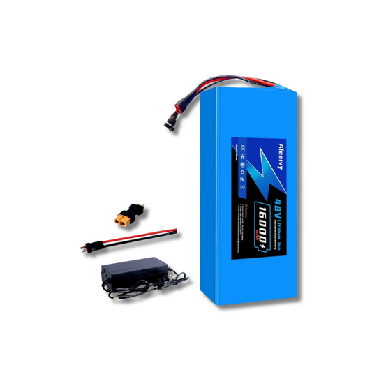 Ebike & Scooter Battery 48v 16ah