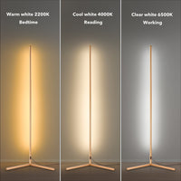 RGBCW Corner Floor Lamp - Golden