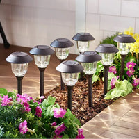 Energizer 12 Pack Solar Pathway Light Set 15-Lumen