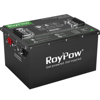 Roypow 48v battery