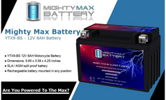 Mighty Max YTX9-BS Battery Replacement for PTX9BS Predator Generator (8750 watt)