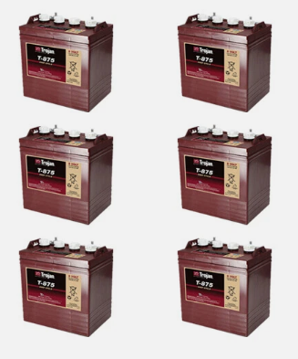 6 Pack Trojan T-875 Deep Cycle Battery For Golf Cart, Solar, Marine 8 Volt 8V