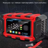 BW Automatic Lifepo4 Battery Charger 12v Smart Charger with Repair Trickle