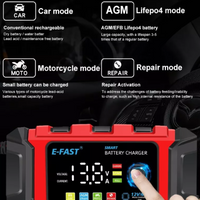 BW Automatic Lifepo4 Battery Charger 12v Smart Charger with Repair Trickle