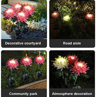 Solar LED Light Artificial Chrysanthemum Flower (3 Pack)