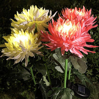 Solar LED Light Artificial Chrysanthemum Flower (3 Pack)