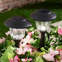 Energizer 12 Pack Solar Pathway Light Set 15-Lumen