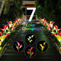 4 Pack Solar Common Calla Lamp Four Color LED