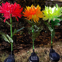 Solar LED Light Artificial Chrysanthemum Flower (3 Pack)