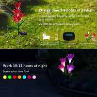 Solar Lily Flower Lights (Pack of 3 = 12 Flowers)