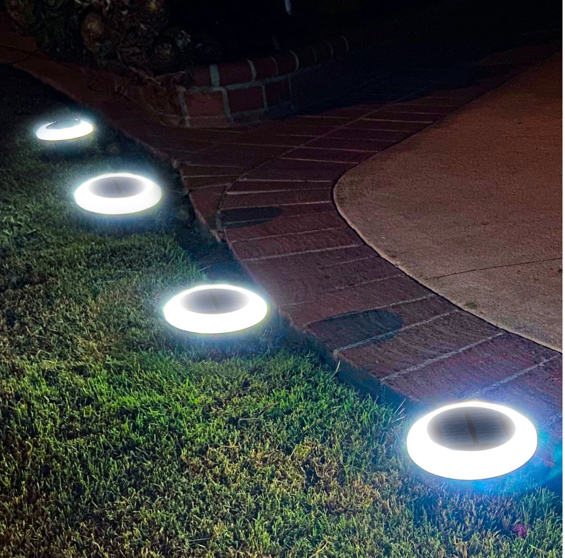 Colorize Solar Lights Color Change Waterproof Ring Lights In-Ground 6 Pack