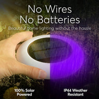 Colorize Solar Lights Color Change Waterproof Ring Lights In-Ground 6 Pack