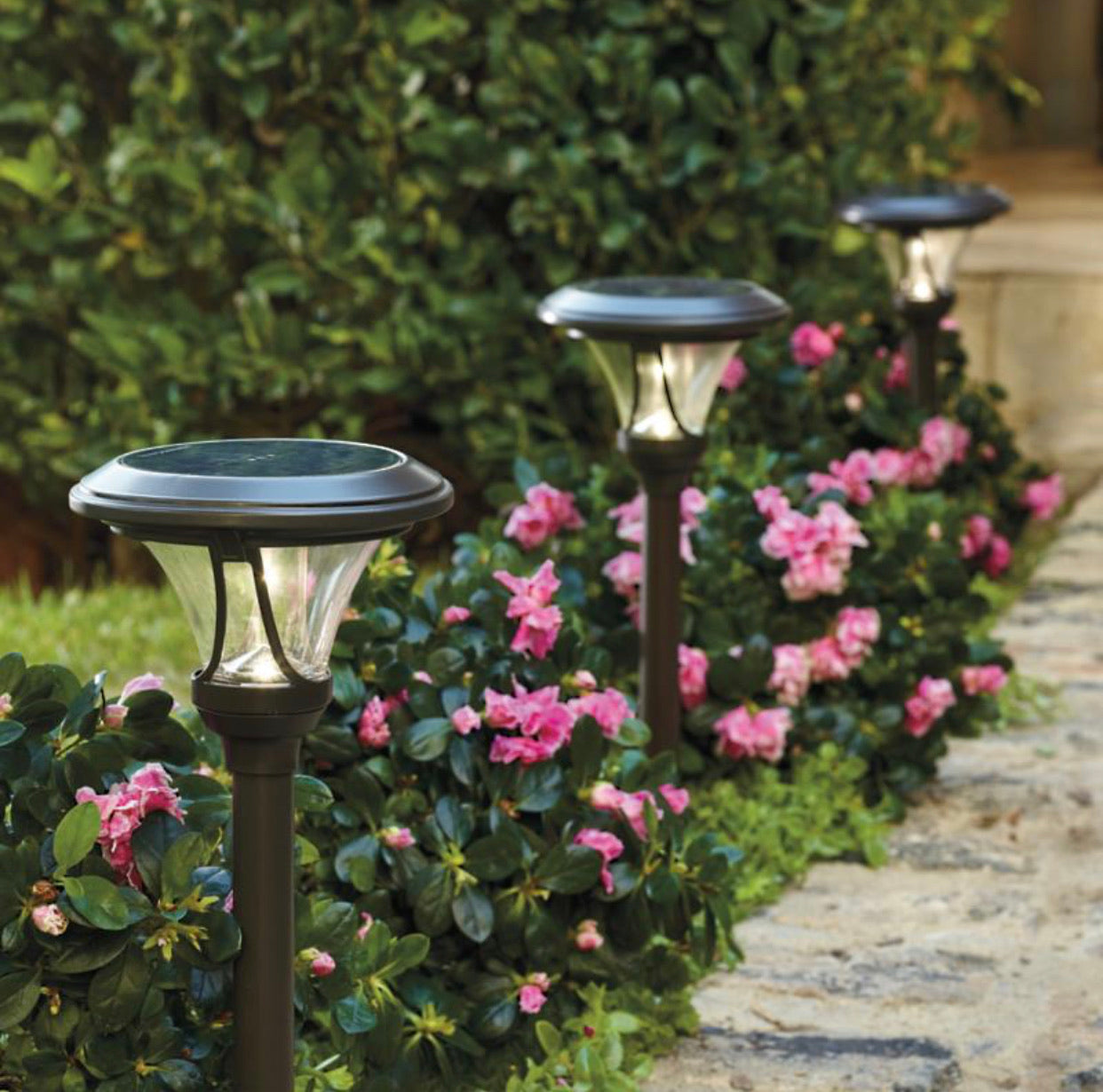 New Patriot Oswego Solar Lights 8-Pack