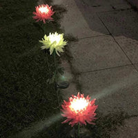 Solar LED Light Artificial Chrysanthemum Flower (3 Pack)