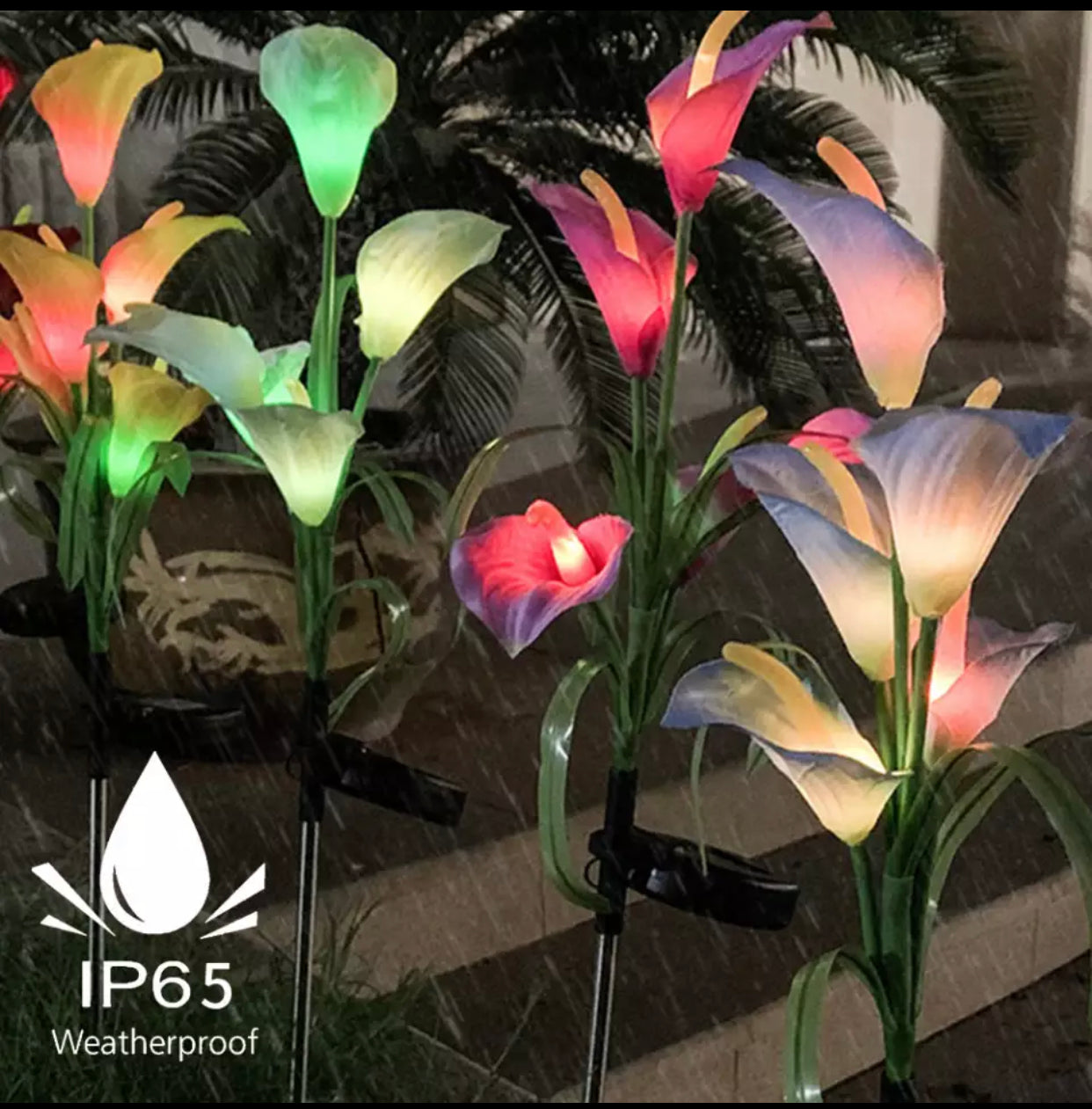 4 Pack Solar Common Calla Lamp Four Color LED