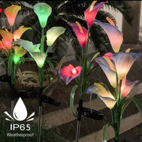 4 Pack Solar Common Calla Lamp Four Color LED