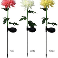 Solar LED Light Artificial Chrysanthemum Flower (3 Pack)