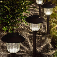 Energizer 12 Pack Solar Pathway Light Set 15-Lumen