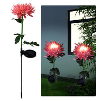 Solar LED Light Artificial Chrysanthemum Flower (3 Pack)