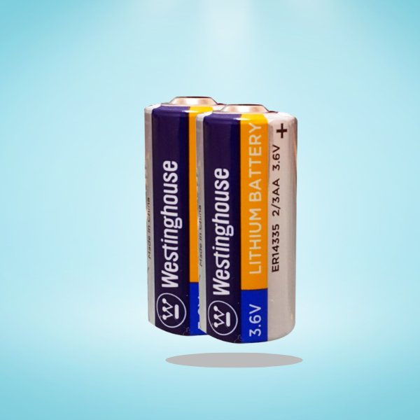 2 x ER14335 2/3AA Size 3.6V Lithium Primary Battery for Specialized Devices - Battery World