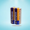 2 x ER14335 2/3AA Size 3.6V Lithium Primary Battery for Specialized Devices - Battery World