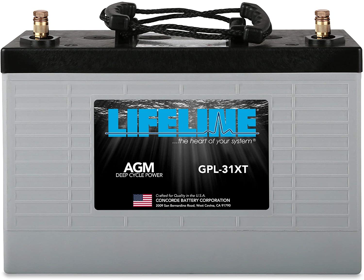 Lifeline GPL-31XT 12v 125AH Deep Cycle Battery for Marine, RV, Auto, and More