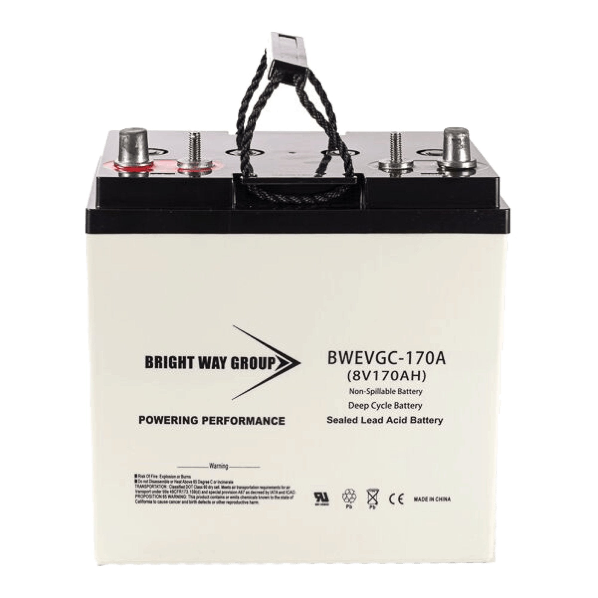 AGM 8V 170AH Universal Deep Cycle Battery BW-EVGC8-170A - Lifts, RV, Floor Scrubbers, and more