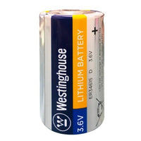 D size 3.6V ER34615 Lithium Primary Battery for Specialized Devices Size D Battery - Battery World