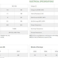 Discover 6v 220Ah AGM EV Dry Cell Deep Cycle Battery EVGC6A-A for Floor Scrubber, RV, and more - Battery World
