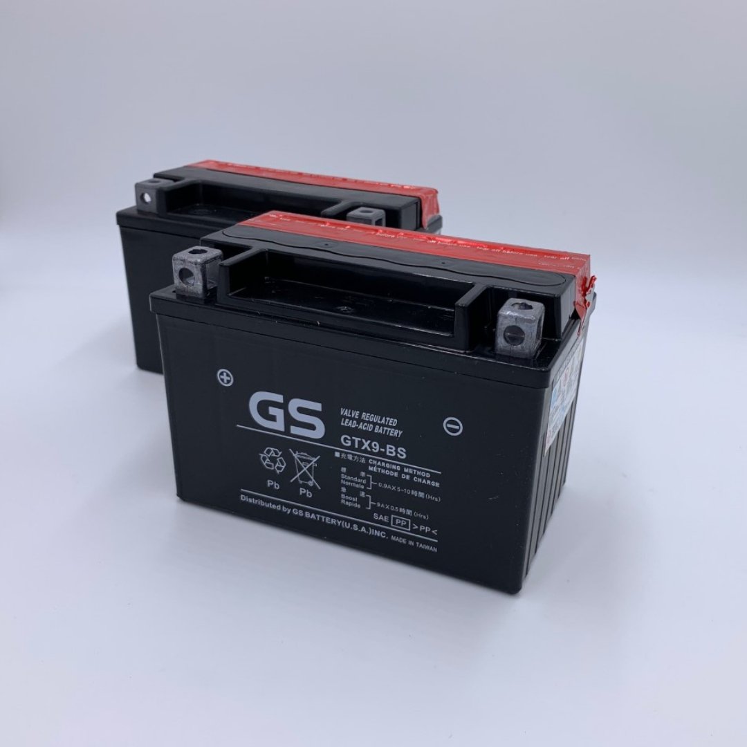 Yuasa YTX9-BS Powersports Replacement Battery